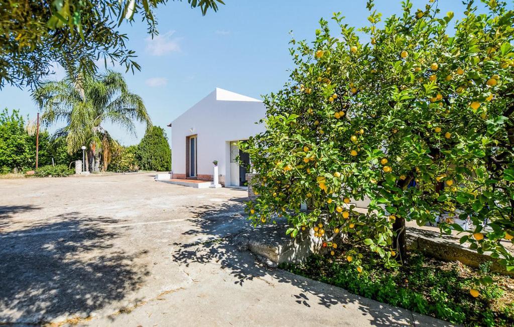Villa Limoneto 锡拉库扎 外观 照片